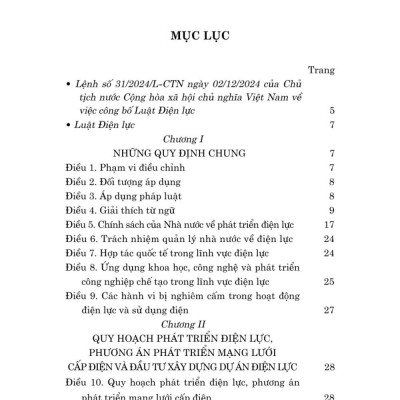 Luật điện lực năm 2024 - bản in 2025