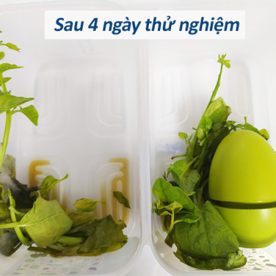 THIẾT BỊ TẠO OZONE DIỆT KHUẨN, KHỬ MÙI TỦ LẠNH GUARDIAN ANGEL - HÀNG NHẬP KHẨU