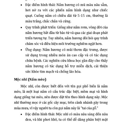 Nông Nghiệp Xanh Và Sạch - Trồng Nấm Sạch Năng Suất Cao