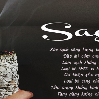 Sét 4 món (1 xô bạch đàn+1 xô đen + 2 thanh palo santo) xông thơm và bảo vệ nhà cửa