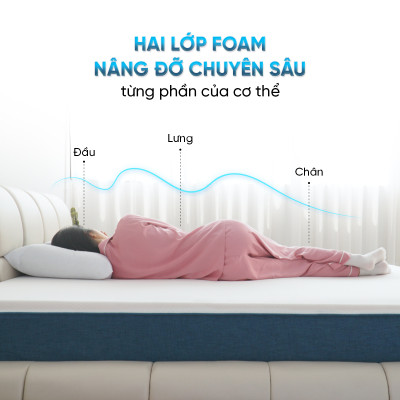 Nệ̣m Foam 3 Zone Thuần Việt - Nâng Đỡ 5 Vùng, Êm Ái, Thoáng Khí - Bảo Hành 12 Năm