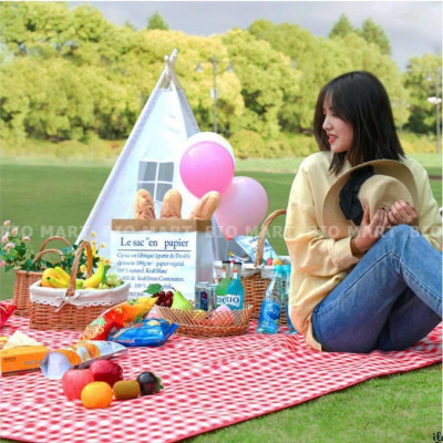 Combo 2 cái Thảm Dã Ngoại Picnic Hoạ Tiết Caro, Gấp Gọn Agnite - Thảm Cắm Trại, Đi Du Lịch, Đi Phượt, Chụp Ảnh