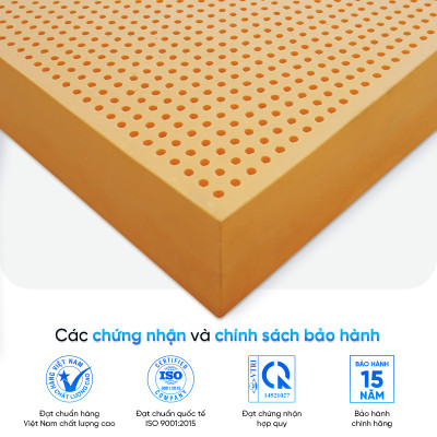 Nệm Cao Su Thiên Nhiên Latex Thuần Việt - Nâng Đỡ 7 Vùng, Thoáng Khí - Bảo Hành 15 Năm