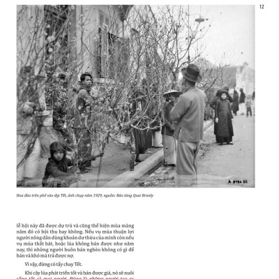 Nước Nam Một Thuở (Bìa Cứng) - AL