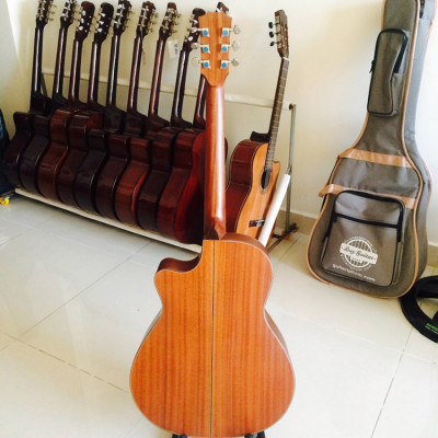 Đàn guitar acoustic DT400 