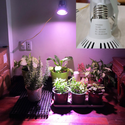 Đèn Trồng Cây Trong Nhà - Đèn Nông Nghiệp 45W tạo ánh sáng "giả lập mặt trời" giúp cây trong nhà phát triển nhanh, hạn chế sâu bệnh và trang trí cảnh quan