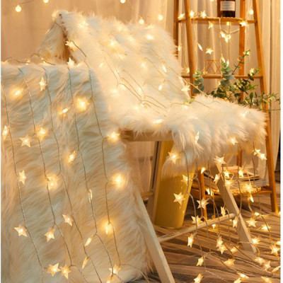 Đèn Led Trang Trí Bông Tuyết Dài 10M - 100 Bóng Trang Trí Noel Lễ Tết