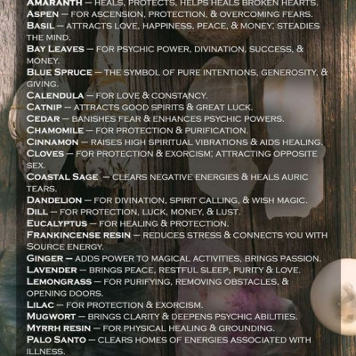 Sét 4 món (1 xô bạch đàn+1 xô đen + 2 thanh palo santo) xông thơm và bảo vệ nhà cửa