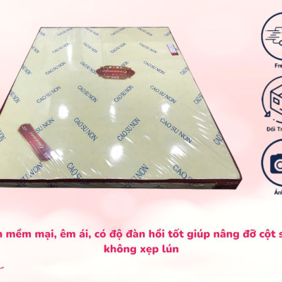 Nệm Cao Su Non American Dày 10cm Thẳng Hoặc Gấp 3 Đủ Size 