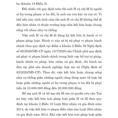 Các tình huống thường gặp trong lĩnh vực hôn nhân và gia đình - bản in 2024