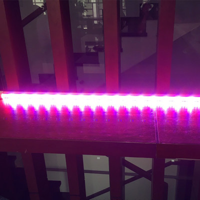 Đèn Trồng Lan Trong Nhà Led Grow Light giúp hoa lan phát triển tốt và "chống lạnh cho lan" vào mùa đông (Led Dài 1.2M màu tím hồng)