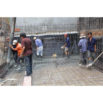 Đầm Dùi Bê Tông ABG ZN-50 Hoa Thị 1.1Kw/220V - Công Suất 1100W, Lõi 100% Bằng Dây Đồng ( Giao Hàng Ngẫu Nhiên )- Hàng Chính Hãng 