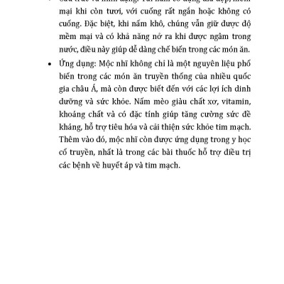 Nông Nghiệp Xanh Và Sạch - Trồng Nấm Sạch Năng Suất Cao