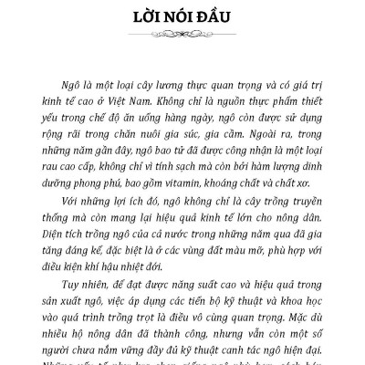 Nông Nghiệp Xanh Và Sạch - Trồng Ngô Sạch Năng Suất Cao