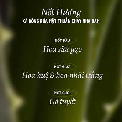 Xà Bông Rửa Mặt Thuần Chay Nha Đam Heebee