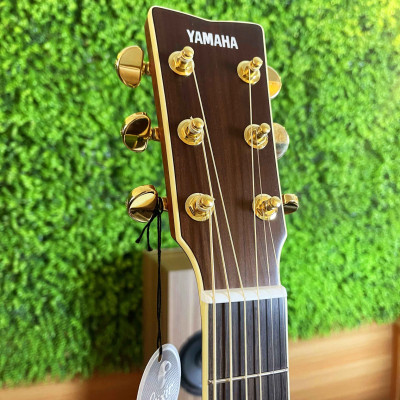 Đàn Guitar Acoustic Yamaha LL-TA (hàng chính hãng)