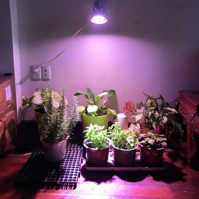 Đèn Trồng Cây Trong Nhà - Đèn Nông Nghiệp 45W tạo ánh sáng "giả lập mặt trời" giúp cây trong nhà phát triển nhanh, hạn chế sâu bệnh và trang trí cảnh quan