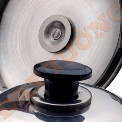 Ấm điện đế liền cao cấp 5L Đạt Tường – ĐL-04  - Trắng Inox - Hàng chính hãng