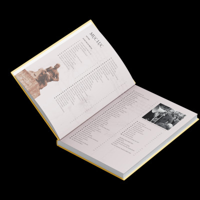 Lược Sử Về Triết Học - Bìa Cứng