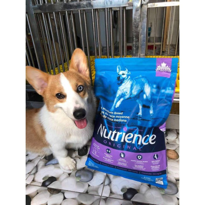 Nutrience Original Thức Ăn Cho Chó Có Kích Thước Trung Bình, Lớn - Thịt Cừu, Rau Củ & Trái Cây Tự Nhiên