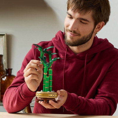 LEGO BOTANICALS 10344 Đồ Chơi Lắp Ráp Cây Thần Tài May Mắn (325 Chi Tiết)
