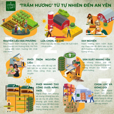 Nhang Trầm Hương Không Tăm Yên Thảo Mộc Loại Tuệ Sạch Tự Nhiên Ít Khói An Toàn Dùng Thiền Thư Giãn
