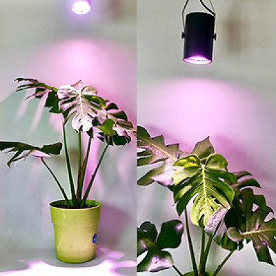 Đèn Trồng Cây Trong Nhà - Đèn Nông Nghiệp 45W tạo ánh sáng "giả lập mặt trời" giúp cây trong nhà phát triển nhanh, hạn chế sâu bệnh và trang trí cảnh quan