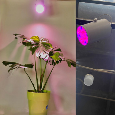 Đèn Trồng Cây Trong Nhà - Đèn Nông Nghiệp 45W tạo ánh sáng "giả lập mặt trời" giúp cây trong nhà phát triển nhanh, hạn chế sâu bệnh và trang trí cảnh quan