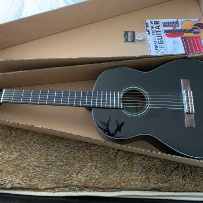 Classic Guitar Yamaha C40