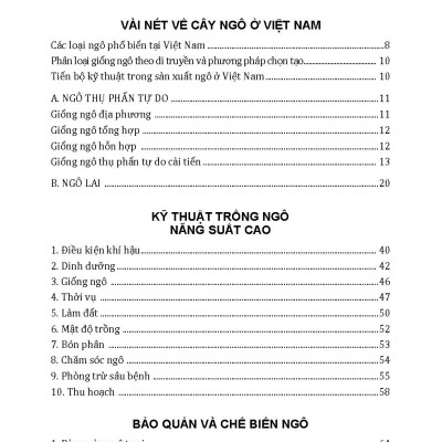 Nông Nghiệp Xanh Và Sạch - Trồng Ngô Sạch Năng Suất Cao