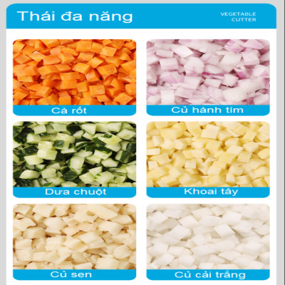 Máy thái rau củ quả đa năng chuyên nghiệp thương hiệu Septree ANS-A5, công suất 600W - Hàng Chính Hãng