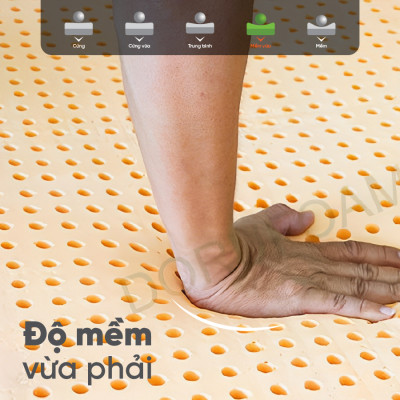 Nệm Gấp 3 Cao Su Thiên Nhiên Đồng Phú- Đàn hồi-hỗ trợ thẳng lưng- Bảo hành 7 năm.