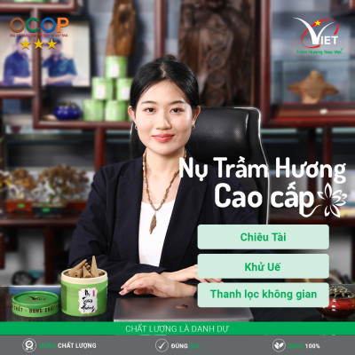 Nụ trầm hương cao cấp Sao Việt - tuổi trầm lâu - hương trầm nguyên bản