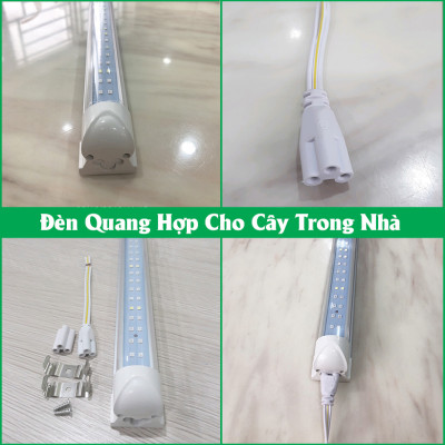 Đèn Trồng Lan Trong Nhà Led Grow Light giúp hoa lan phát triển tốt và "chống lạnh cho lan" vào mùa đông (Led Dài 1.2M màu tím hồng)