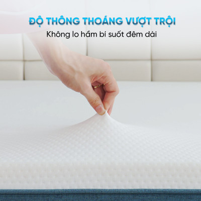Nệ̣m Foam 3 Zone Thuần Việt - Nâng Đỡ 5 Vùng, Êm Ái, Thoáng Khí - Bảo Hành 12 Năm