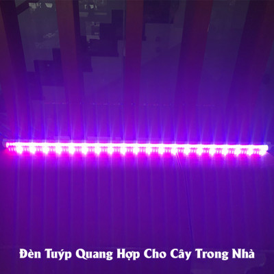Đèn Quang Hợp Trồng Cây Trong Nhà Green Smart Light 30W (đèn dài 1.2 mét) được ứng dụng rộng rãi như trồng rau sạch tại nhà, trồng cây cảnh trong nhà, cây văn phòng, trồng rau thủy canh, các mô hình nuôi cây mô và cây con 