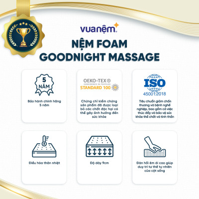 Nệm foam Goodnight Massage bán chạy tại Việt Nam 9cm tại Vua Nệm - Cấu trúc lượn sóng duy trì tư thế tự nhiên của cột sống