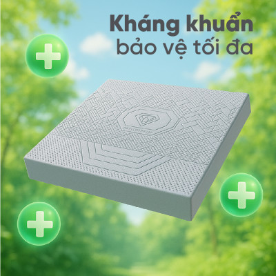 Nệm Cao Su Kim Cương 5Zone Than Hoạt Tính BIOLUX