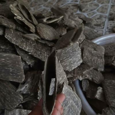 Trầm hương miếng hàng đẹp chuẩn rừng Tiên Phước Quảng Nam ( một gói 100g) - Trầm sạch tốt cho sức khỏe