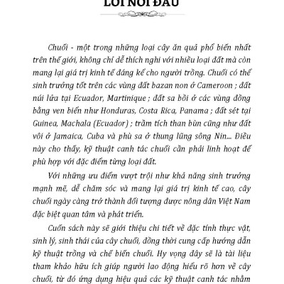Nông Nghiệp Xanh Và Sạch - Trồng Chuối Năng Suất Cao Và Kỹ Thuật Khai Thác