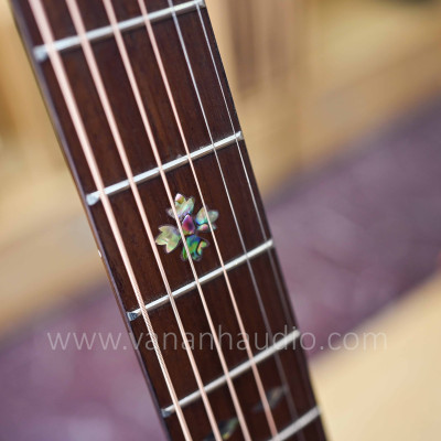 Đàn guitar acoustic C#12AA (Khảm trai)
