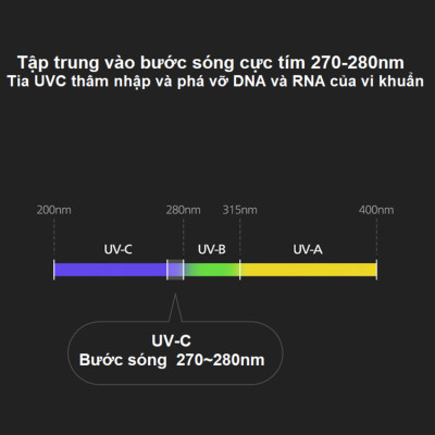 Máy khử mùi, lọc không khí ô tô dạng cốc Thương hiệu Hà Lan cao cấp Philips S3602, Công Suất 2W - Bảo Hành 24 Tháng (Hàng Nhập Khẩu)