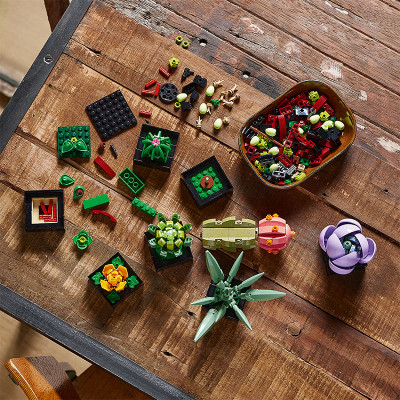 Đồ Chơi LEGO Sen Đá 10309 (771 chi tiết)