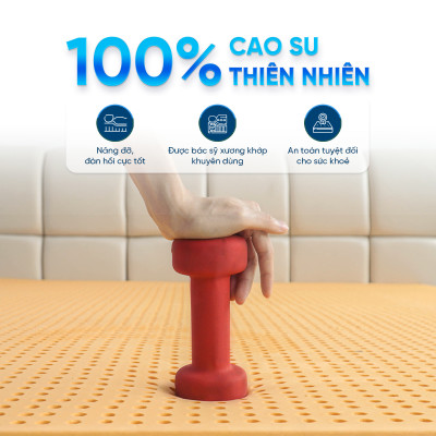 Nệm Cao Su Thiên Nhiên Latex Thuần Việt - Nâng Đỡ 7 Vùng, Thoáng Khí - Bảo Hành 15 Năm