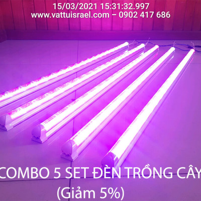 Trồng Nấm Linh Chi Trong Nhà bằng Đèn Quang Hợp Smart Light dài 1.2m giúp cây nấm phát triển tốt và rút ngắn thời gian thu hoạch nấm 