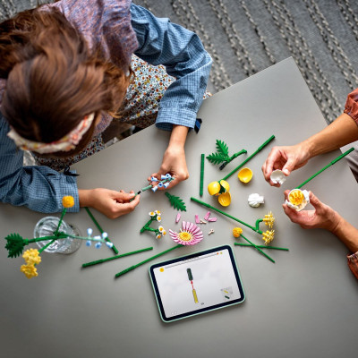 Đồ Chơi Lắp Ráp Bó Hoa Nhỏ Tươi Tắn LEGO BOTANICALS 10347 (373 chi tiết)