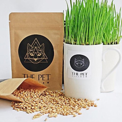 Hạt Giống Cỏ Lúa Mạch Cho Mèo Chống Tắc Ruột Bổ Sung Vitamin 100g