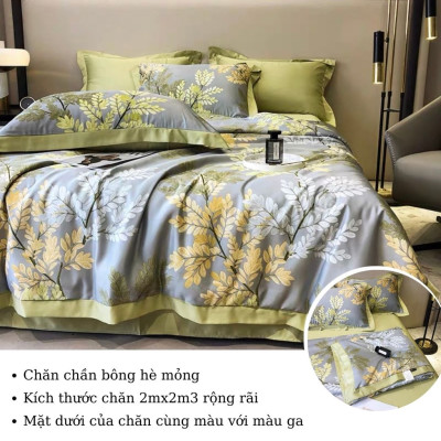 Bộ Chăn Ga Gối Lụa Thái 6D 4 Món Chăn Trần Bông Nhập Khẩu Hàng Loại 1 - Hàng Chính Hãng MINIIN