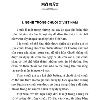 Nông Nghiệp Xanh Và Sạch - Trồng Chuối Năng Suất Cao Và Kỹ Thuật Khai Thác