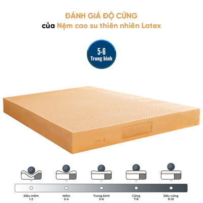 Nệm Cao Su Thiên Nhiên Latex Thuần Việt - Nâng Đỡ 7 Vùng, Thoáng Khí - Bảo Hành 15 Năm